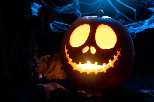 Simpatico arrangiamento di zucca e ragnatela di Halloween