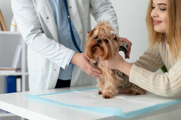 Simpatico cane durante una consultazione