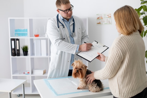 Simpatico cane durante una consultazione