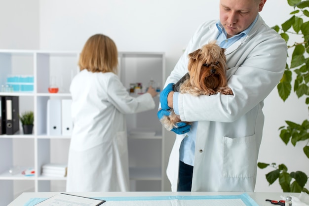 Simpatico cane durante una consultazione