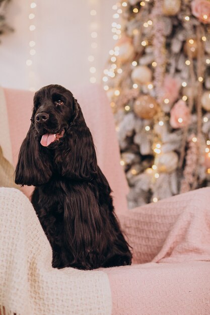 Simpatico cane seduto su una sedia vicino all'albero di Natale