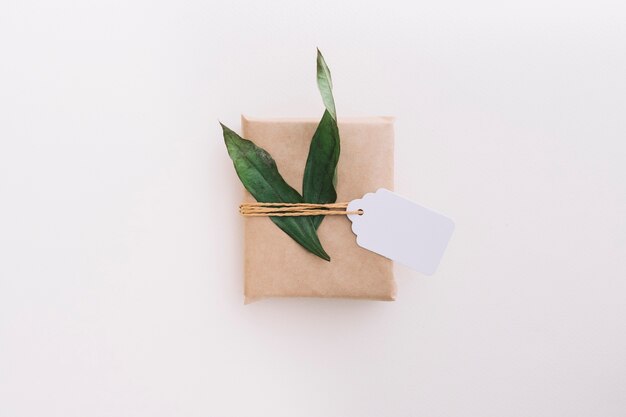 Singolo contenitore di regalo avvolto marrone legato con l&#39;etichetta e foglie su fondo bianco