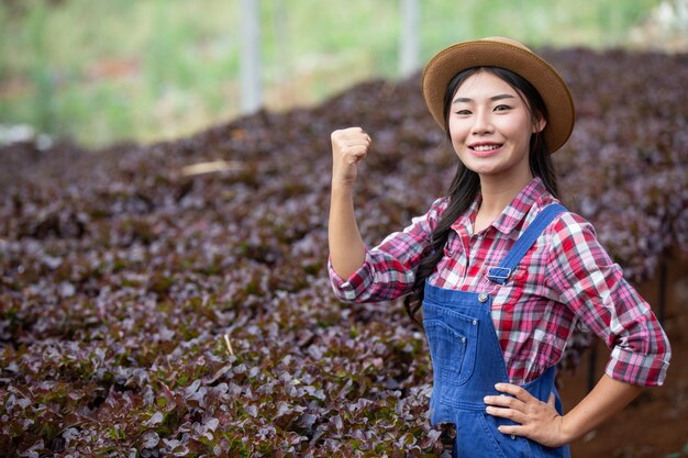 Sistema di coltura idroponica, piantando verdure ed erbe senza usare il terreno per la salute