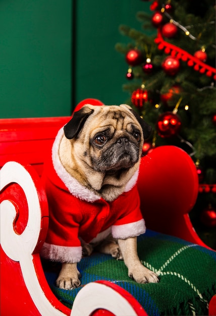 Slitta di Babbo Natale ad alto angolo con cane santa tagliato