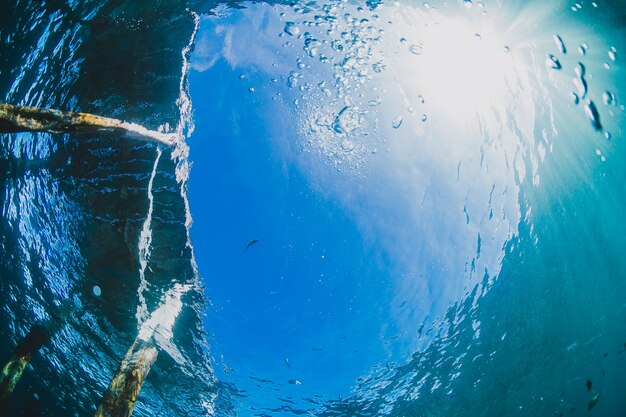 Snorkeling nel mare vicino a un porto