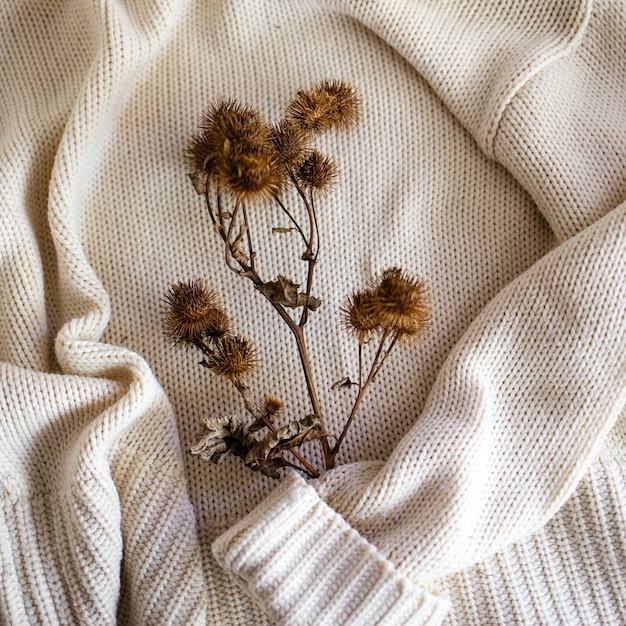 Soft focus di cardi secchi su un tessuto a maglia bianco