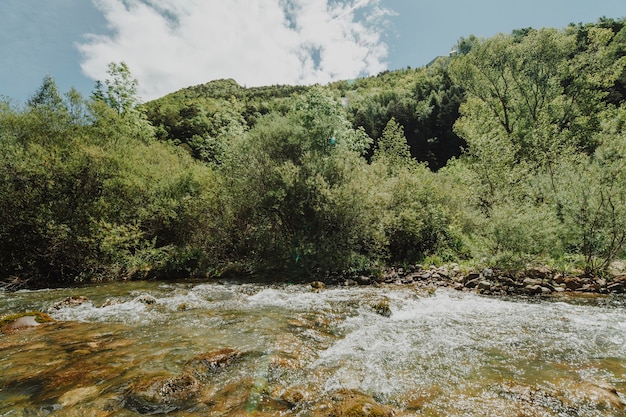 Soleggiato paesaggio roccioso con vegetazione