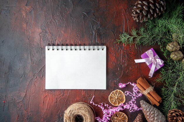 Sopra la vista del taccuino chiuso con penna cannella lime e una palla di corda regalo coni di conifere sul lato sinistro su sfondo scuro