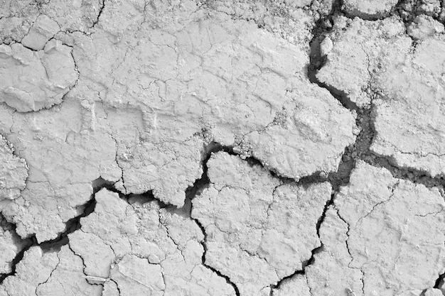 Sopra la vista delle crepe grigie nel deserto. Concetto mancanza di umidità.