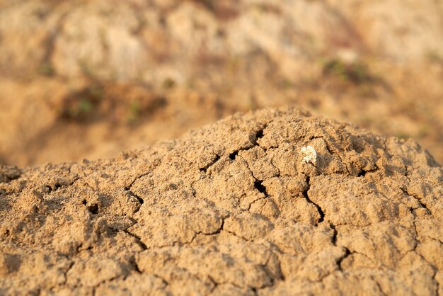 Sopra la vista di mucchi di sabbia marrone friabile nel deserto.