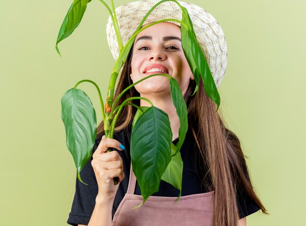 Sorridente bella ragazza giardiniere in uniforme che indossa cappello da giardinaggio viso coperto con pianta isolata su verde oliva