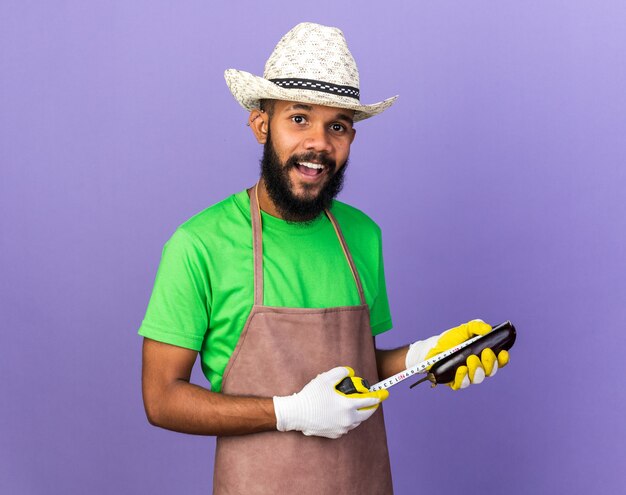 Sorridente giovane giardiniere afro-americano che indossa cappello e guanti da giardinaggio che misurano melanzane con metro a nastro isolato su parete blu