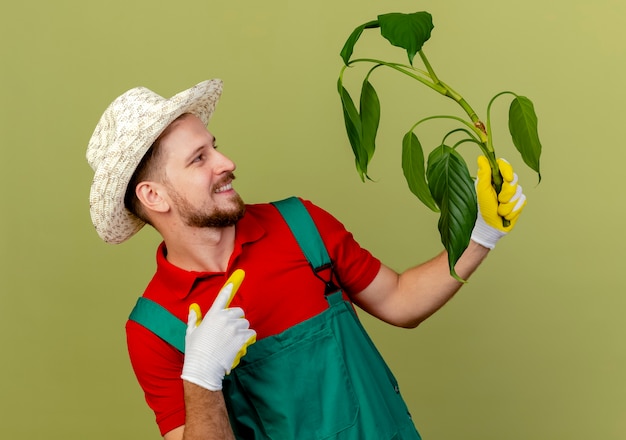 Sorridente giovane giardiniere slavo bello in uniforme e cappello indossando guanti giardiniere che tengono guardando e indicando la pianta isolata sulla parete verde oliva