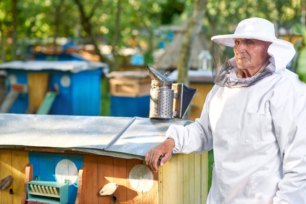 Sparato di un apicoltore in vestito di apicoltura che sta fila vicina degli alveari al suo copyspace dell'apiario.
