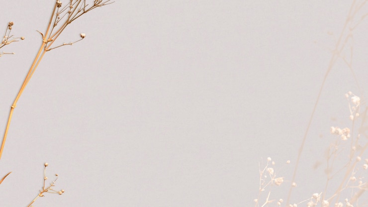 Foto gratuito spazio di design naturale di sfondo floreale secco