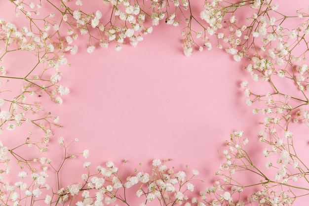 Spazio in bianco per la scrittura di testo con fiore di gypsophila bianco fresco su sfondo rosa