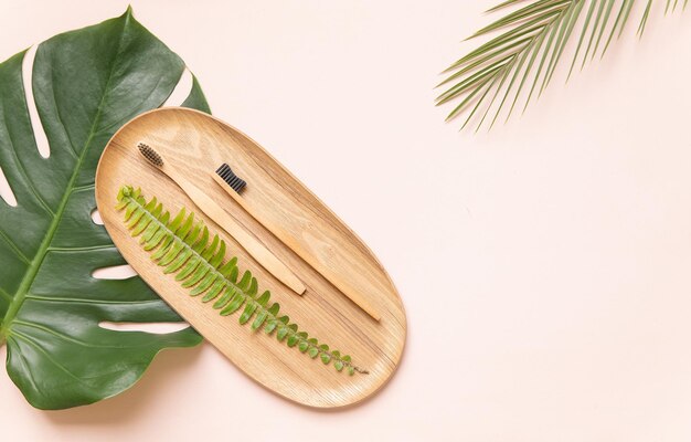 Spazzolino naturale su legno Monstera a foglia tropicale su sfondo pastello moderno Zero sprechi e senza plastica