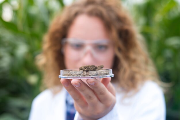 Specialista agronomo femminile esaminando campione di terreno per l'agricoltura