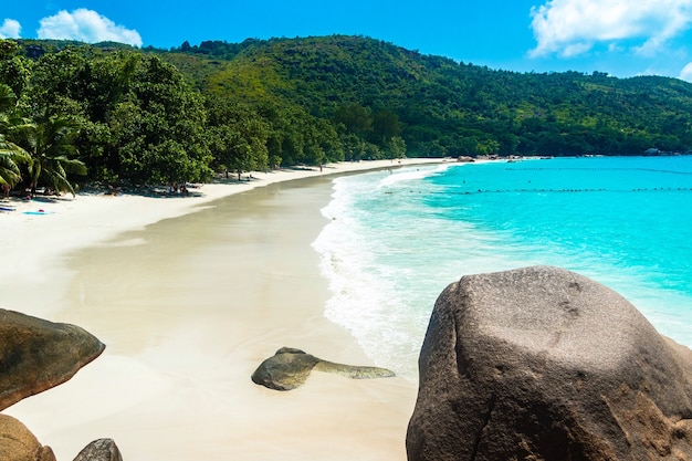 Spiaggia circondata dal mare e dal verde sotto la luce del sole e un cielo blu a Praslin alle Seychelles