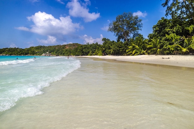 Spiaggia circondata dal mare e dal verde sotto la luce del sole e un cielo blu a Praslin alle Seychelles