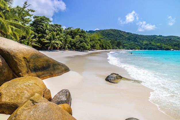 Spiaggia circondata dal mare e dal verde sotto la luce del sole e un cielo blu a Praslin alle Seychelles