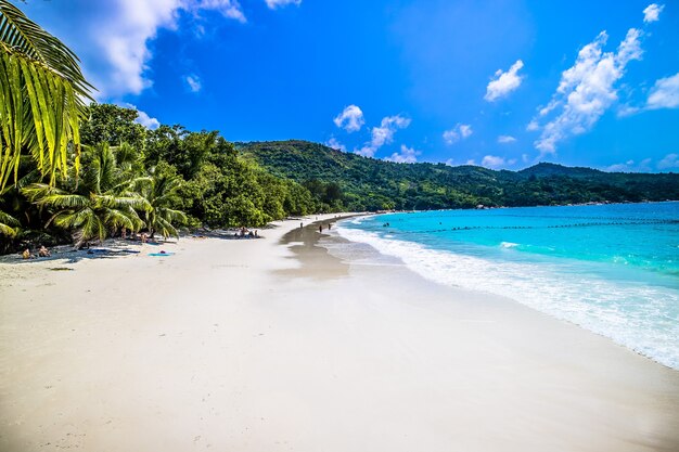 Spiaggia circondata dal mare e dal verde sotto la luce del sole e un cielo blu a Praslin alle Seychelles