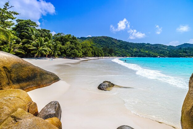 Spiaggia circondata dalle rocce del mare e dal verde sotto la luce del sole a Praslin alle Seychelles