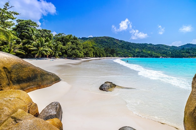 Spiaggia circondata dalle rocce del mare e dal verde sotto la luce del sole a Praslin alle Seychelles