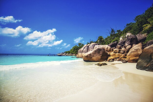 Spiaggia circondata dalle rocce del mare e dal verde sotto la luce del sole a Praslin alle Seychelles