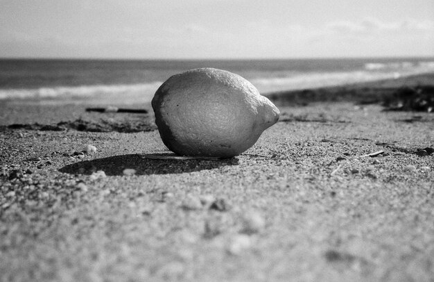 Spiaggia dei Limoni