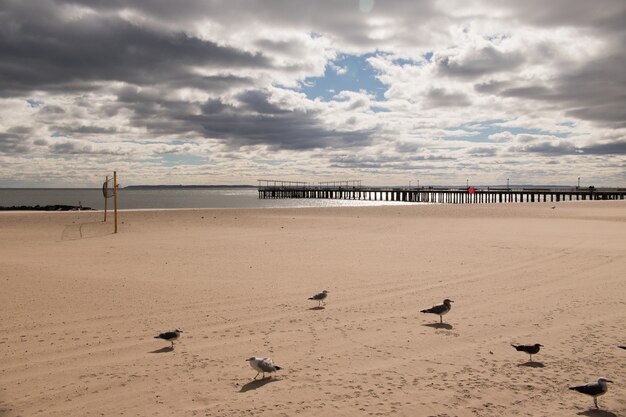 spiaggia dell&#39;isola di Coney