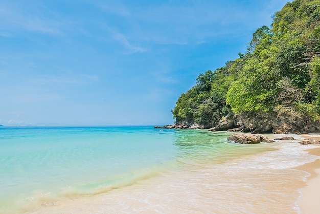 Spiaggia di sabbia con rocce e alberi