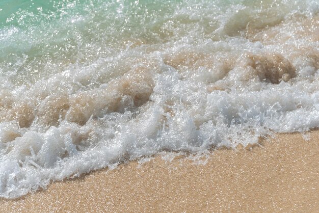 Spiaggia di sabbia e onde dell'oceano