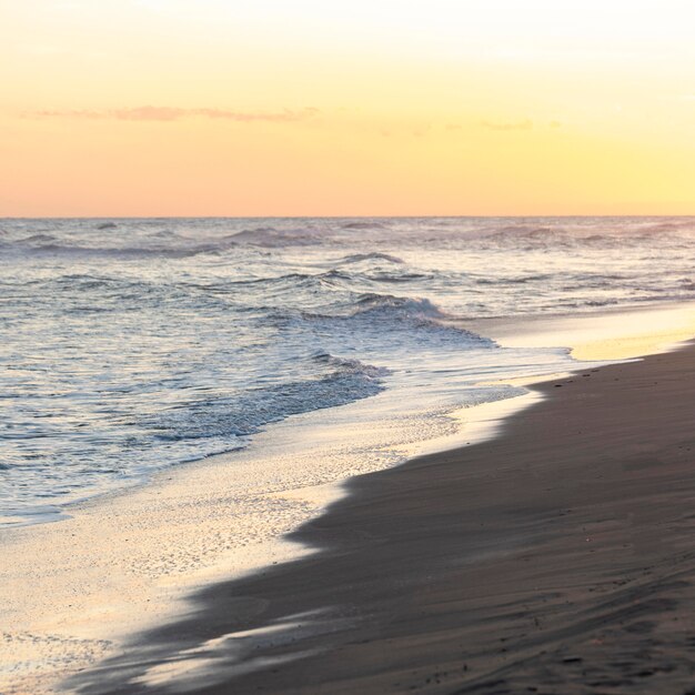 Spiaggia di sabbia vicino all'oceano tranquillo