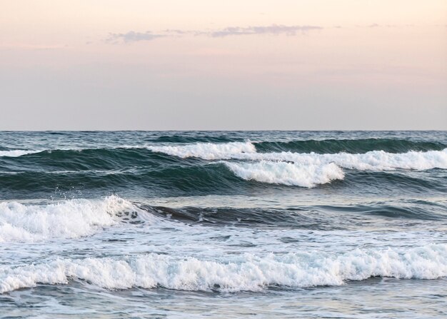 Spiaggia di sabbia vicino all'oceano tranquillo