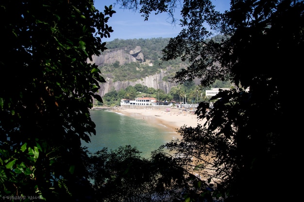 Spiaggia di Urca e foglie verdi a Rio De Janeiro foglie verdi