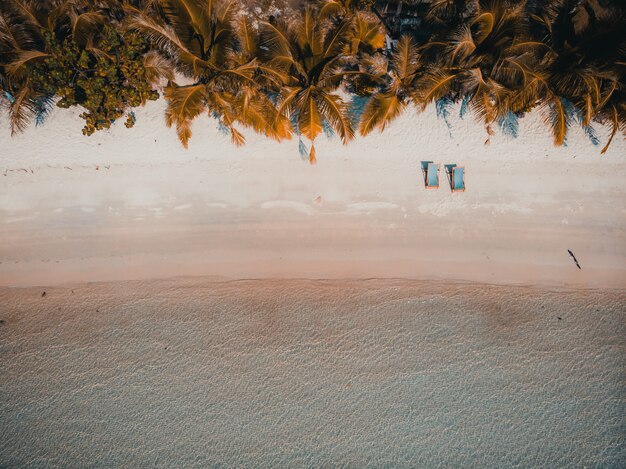 Spiaggia e mare tropicali della bella natura con l&#39;albero del cocco sull&#39;isola di paradiso