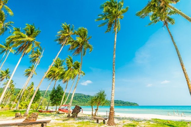 Spiaggia e mare tropicali della bella natura