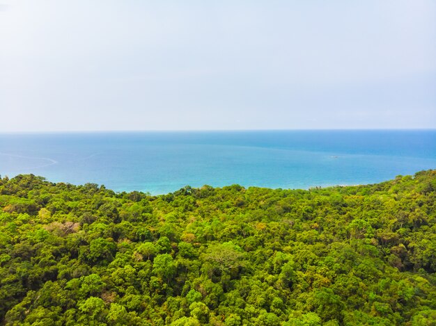 Spiaggia e mare tropicali della bella natura