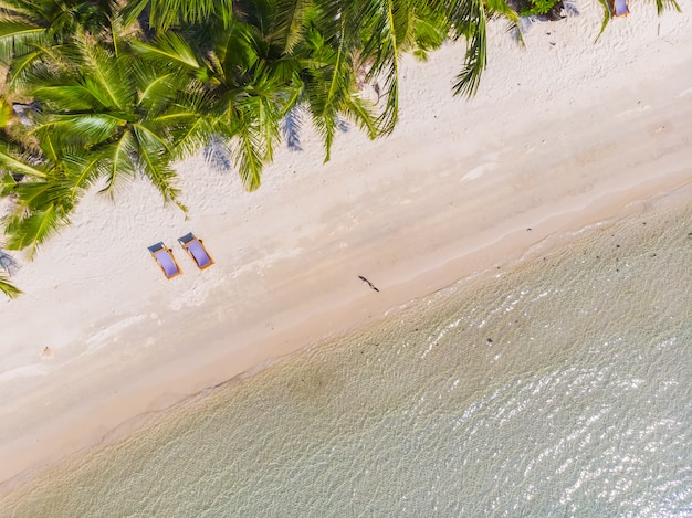 Spiaggia e mare tropicali della bella natura