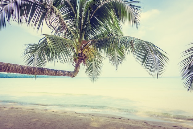 Spiaggia e mare