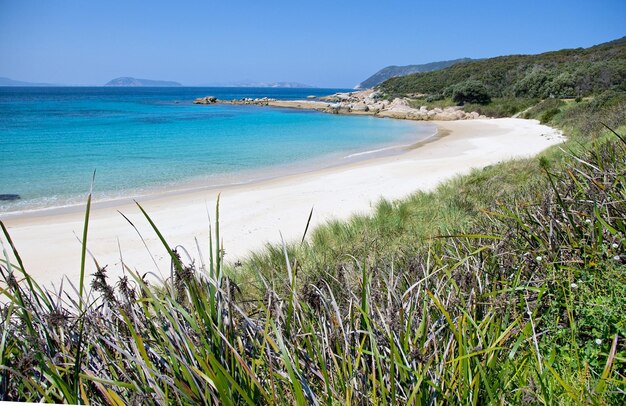 Spiaggia immersa nel mare e nel verde sotto la luce del sole e un cielo azzurro