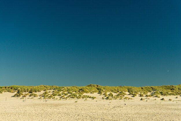 Spiaggia sull'isola di Terschelling nei Paesi Bassi sotto il cielo