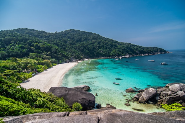 Spiaggia tropicale al punto di vista delle isole Similan, mare delle Andamane, Tailandia