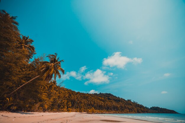 Spiaggia tropicale bellissima natura