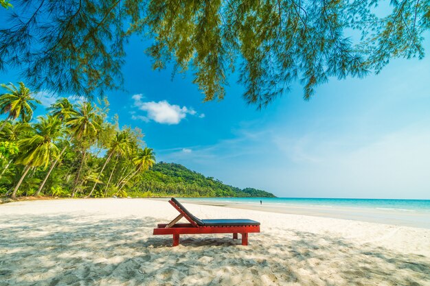 Spiaggia tropicale bellissima natura