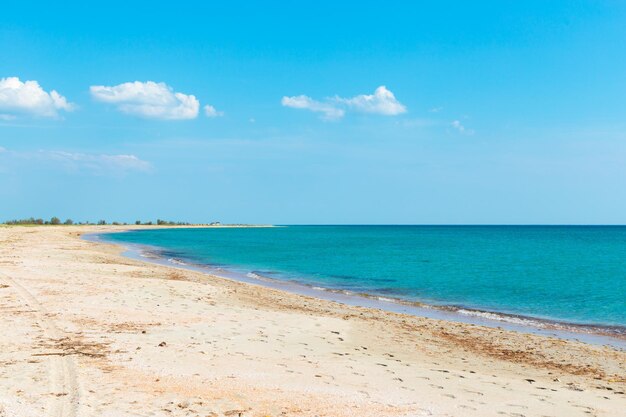 Spiaggia tropicale con sfondo di vacanza estiva di sabbia