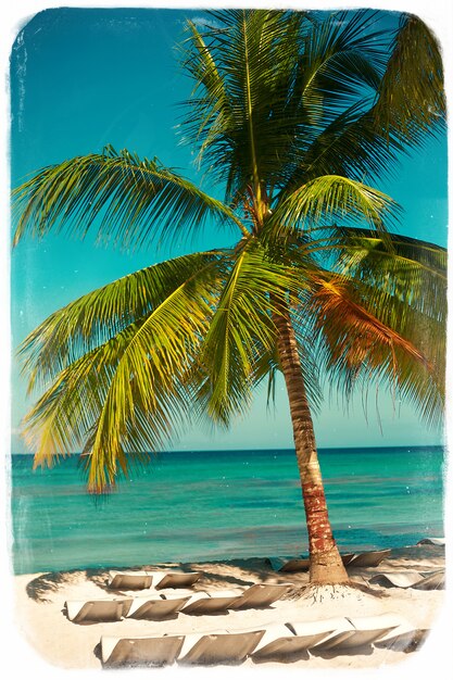 Spiaggia tropicale di estate con il fondo del mare e del cielo del ramo di albero di foglia di palma