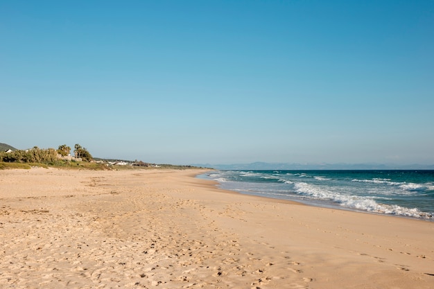 Spiaggia tropicale di paradiso con chiaro cielo blu