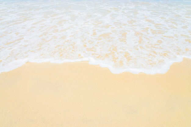 Spiaggia tropicale e mare